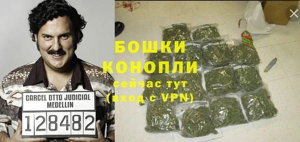 шишки Алексин