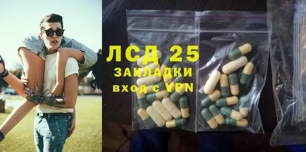 шишки Алексин