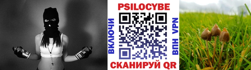 Псилоцибиновые грибы Psilocybine cubensis  Кольчугино 